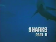 Sharks Part II.png (183 KB) Episode title