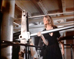 Bionic lift.jpg (40 KB) Bionic lift