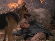 The.Bionic.Woman.S03E02.DVDrip.XviD-SAiNTS.avi 001876440.jpg (120 KB)