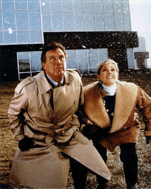 The Six Million Dollar Man' & 'The Bionic Woman' Everyones