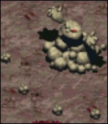 Vatuka.jpg