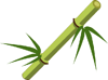 Bamboo