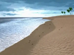 Papa Nihu Reef Shore