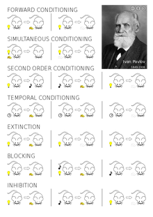 Classical Conditioning