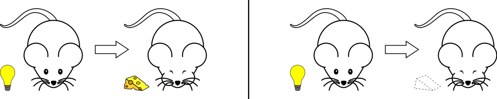 动物行为学术语 生物学竞赛辞典维基 Fandom