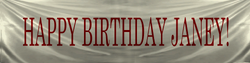 Unused Happy Birthday Janey! Banner