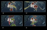 PavilionHolidayOrnamentsConcept.jpg (282 KB) Concept art for the ornamental hanging sculpture in The Pavilion.