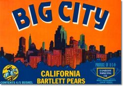 Rapture Radio | BioShock Wiki | Fandom