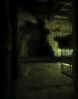 An ominous shadow.