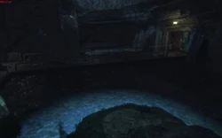 Botanik Bahçesi'ne giden köprü.