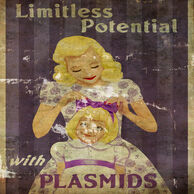 Plasmid ad potential