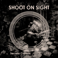 Security Shoot On Sight