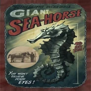 OgNRg9SvYlk.jpg (64 КБ) "Гигантский морской конек "