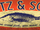 Lotz & Sons