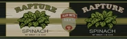 Rapture Spinach.