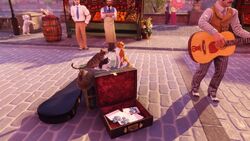 Catdogmarketparis.jpg