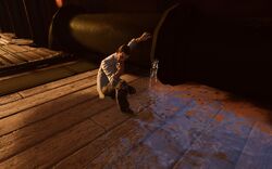 BioI FD Beggar's Wharf Leakage Examiner.jpg