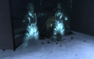 The ghosts in the fisheries.