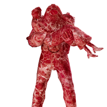 bioshock 2 statues