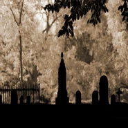 Pearl Grave 1.jpg (75 KB) Pearl's grave site (center).