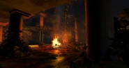 An early version of The Pink Pearl interior.