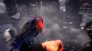 Crow demo.jpg (132 KB) The killer crow, as seen in the debut gameplay demo.