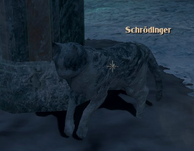 "Schrödinger."