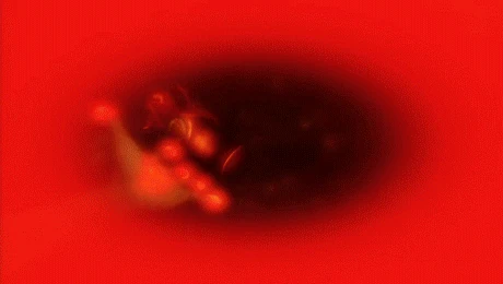 Vigor devils kiss.gif (2,44 MB)