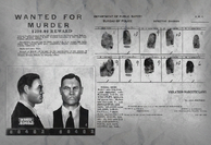 Mugshots of Louie, as found in the multiplayer version of the Fighting McDonagh's.