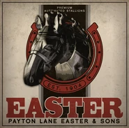 Paytonlaneeaster finalasset.jpg (195 kB) Anuncio usado en el artículo de blog que anunció el ganador del concurso Get Your Name in the Game.