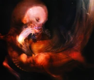 Gil Concept Art.png (1.4 MB) Gil as seen in Deco Devolution artbook. Concept Art by Dermot Power.