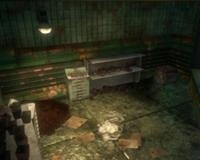 Ryan contro Lamb, Libertà religiosa