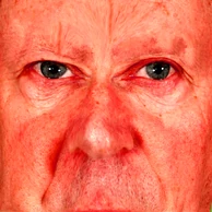 GilScreen d.png (302 KB) Gilbert's face on his Security Bot.