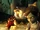 Bioshock-2-capture-the-sister.jpg
