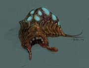Seeschnecke.jpg