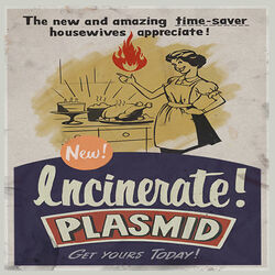 Plasmids Incinerate 3