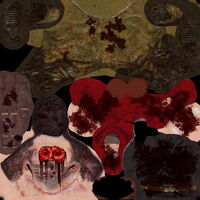 Wader's unused texture file for BioShock 2.