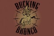 Bucking-bronco-ad-2-439x292