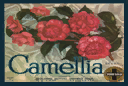 The top of a Camellia box.