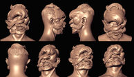 An untextured and unused head model.