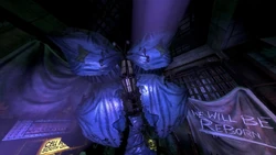 Image of Imago.