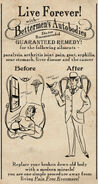 Poster advertising the Handyman conversion process