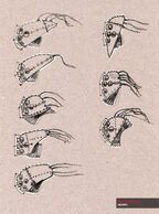 Adriendeggan2.jpg (101 KB) Helmet concept.