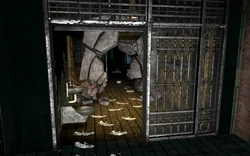 Follow the butterflies.