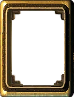 The frame appearing over the recorded citizen's portrait.