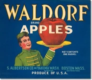 The bellboy inspiration.