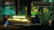 Arcadia3.jpg