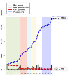 Pan- and core-genome calculation using BLAST, proteome comparison