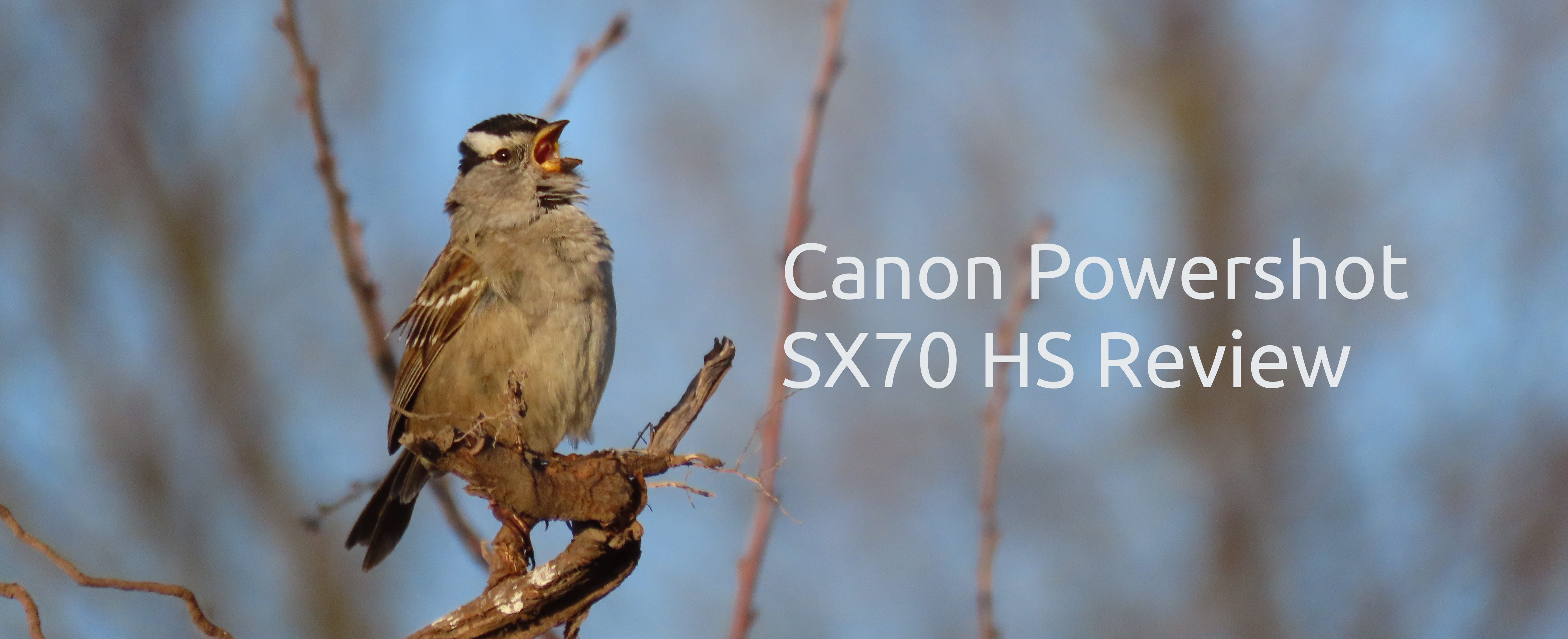 Canon PowerShot SX70 HS review