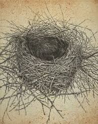 A magpie's nest.